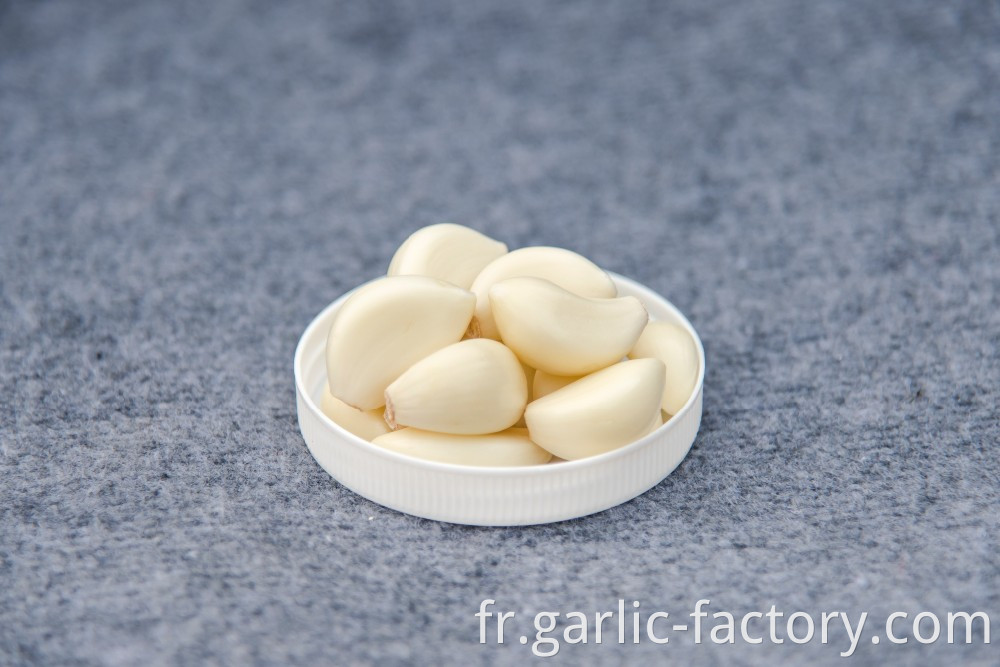 Peeled Fresh white garlic